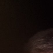 �������, 54 ����, ��������