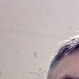 ������, ��������, 33 ����