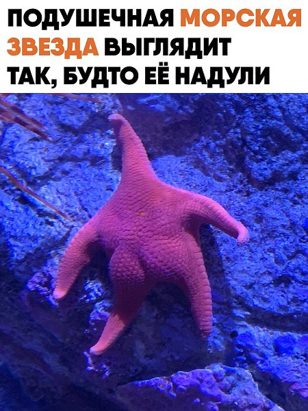 ��� ��������� ������� ������ ���������� ����������. � ������� �� ��������� ���� � ������� ������, ...