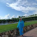  ,  -  5  2025       ,    ,     .