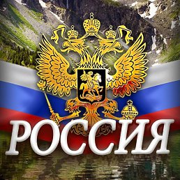 ���� Ni�, ������, 58 ��� - ��������� 28 ������� 2024