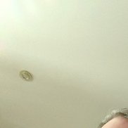 �������, 54 ����, ������