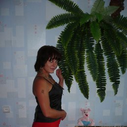 �������, ������, 48 ���