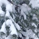 ���� �����, ������� - ��������� 11 ������ 2026 � ������ ���� ����������