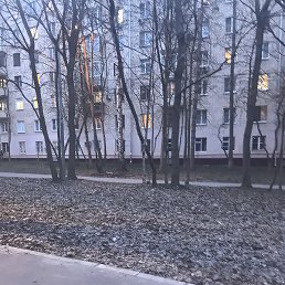 ���������, ������