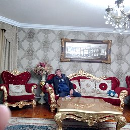 ������, 49 ���, ���������