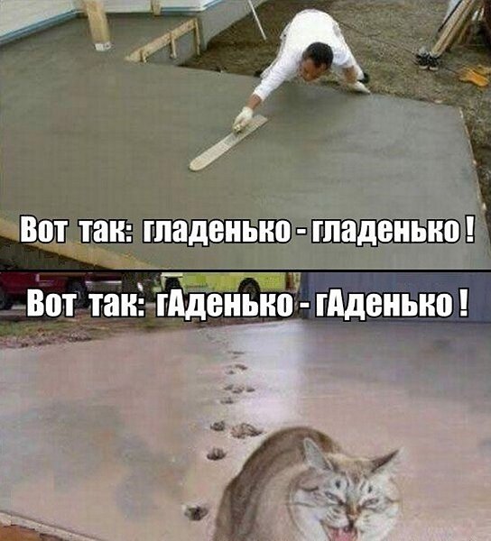 ☆����� � �������� �������☆ - 8 ������� 2024 � 16:30