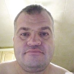 , 41, 