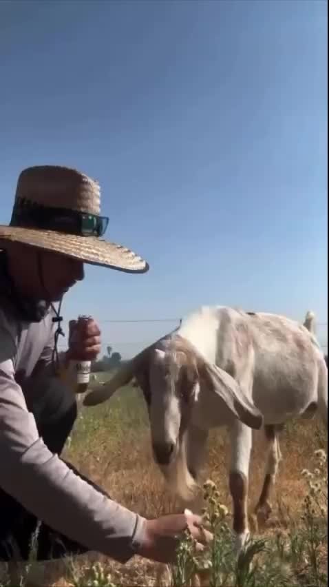 ����� ���� ���������� ������������, ������� �� ����� ������� ����� �������� - 2