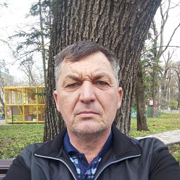  , 55, 