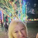 ���� �������, ������ - ��������� 26 ����� 2026 � ������ ���� ����������