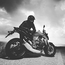 Lutfullo, ������, 25 ���