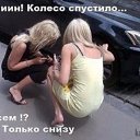 ���� ��������, ������� - ��������� 25 ������ 2026 � ������ ������ ��������