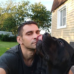 ���� �������, ������, 42 ���� - ��������� 11 ������ 2023