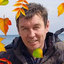 �������, �����������, 51 ���