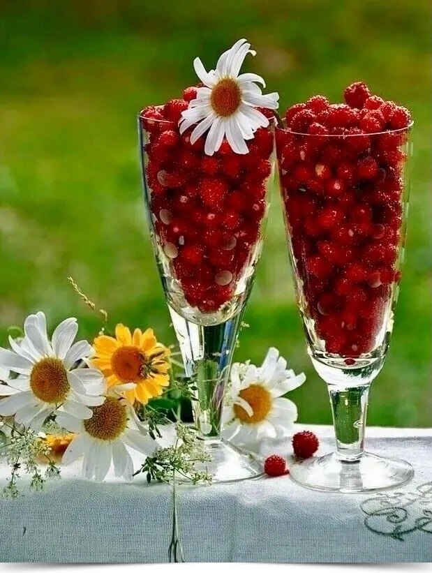   , !  ,   ! *** *** ***