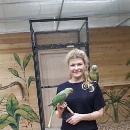 , 43 , 
