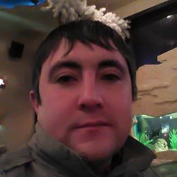 �����, �������, 41 ���