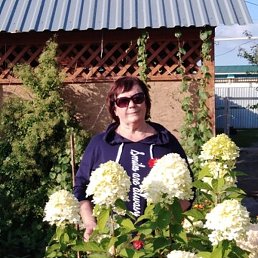 ���������, ������