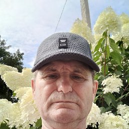 ���� �������., �����������, 66 ��� - ��������� 14 ������ 2026