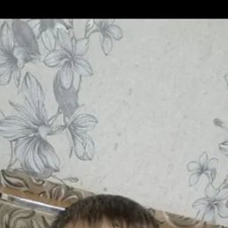 , 44, -