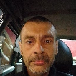 ������, 41 ���, ������