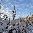 ���� ������, �����-��������� - ��������� 15 ������� 2026 � ������ ������ ��������