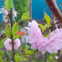  , , 67  -  26  2025     !!!