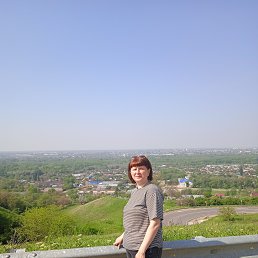 �����, 41 ���, ���������