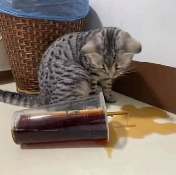     :