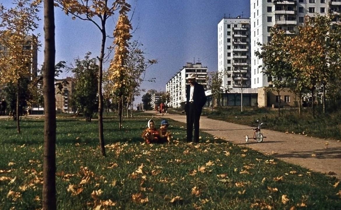 ����������� �����, 1973 ���