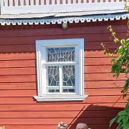 , 53, 