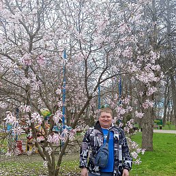 �������, ������, 39 ���