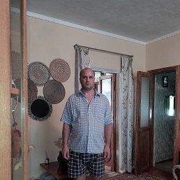 , 43, 