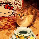 ���� Uegenia, ʸ���, 65 ��� - ��������� 6 ������� 2025 � ������ ������ ��������