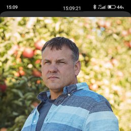 , 53, 