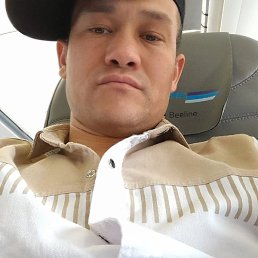 ����, ������ ��������, 33 ����