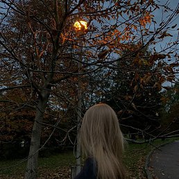 �������, �����, 39 ���