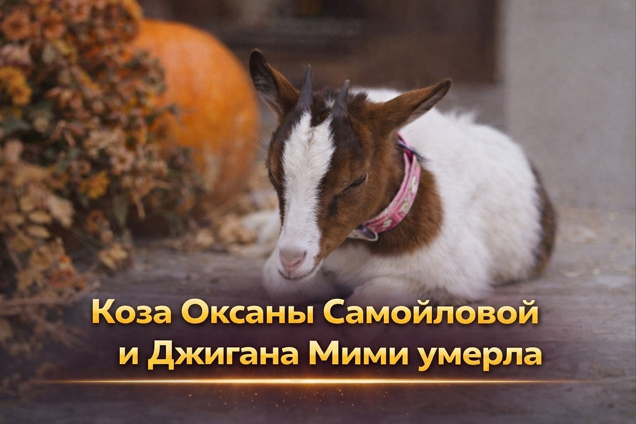 � ����� ������� ������ �������-���� ���������� ������� �������� � � ������ ����� ���� �� ���� ...