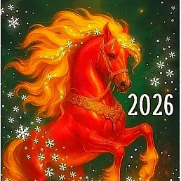 �����, ������ ��������, 45 ���