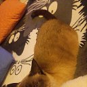 ���� �, ���������, 59 ��� - ��������� 20 ������ 2025 � ������ ������ ��������