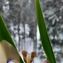 ���� ���������, ���������� - ��������� 29 ������ 2024 � ������ ���� ����������