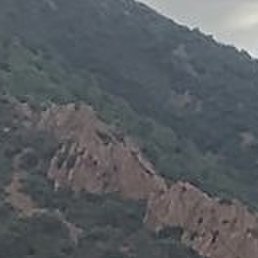 ����, �������, 53 ����