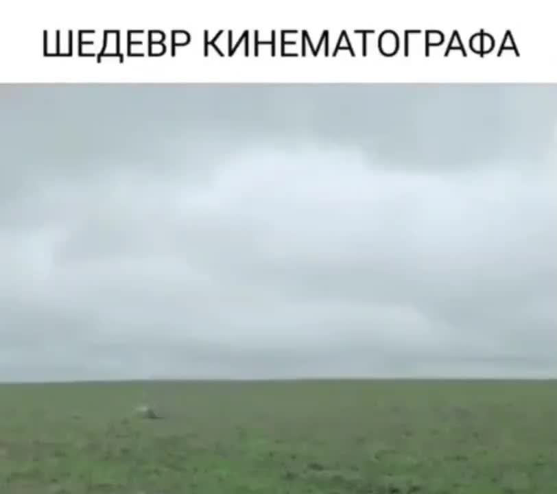 ��� ��������� ������ ������.. - 2