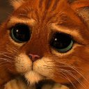 ���� �����, �����, 39 ��� - ��������� 30 ������� 2024 � ������ ���� ����������