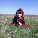 ���� ����, ��������� - ��������� 7 ������� 2025 � ������ ���� ����������