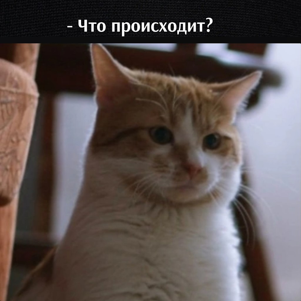       - 7  2025  16:58 - 4
