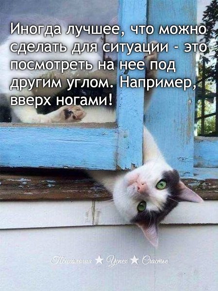 �������� ������ - 10 ���� 2025 � 20:50