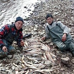 ����, �����������, 40 ���