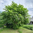 ���� ���������, ���������, 45 ��� - ��������� 29 ���� 2024 � ������ ���� ����������